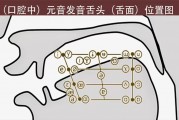 国际音标学习：元音